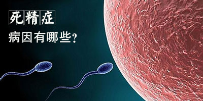 死精症